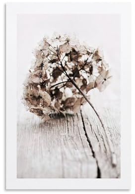 WEbol Poster de fleur d'hortensia séchée - Décoration murale moderne et esthétique - Cadeau pour lit d'amis - Sans cadre - 40 x 60 cm