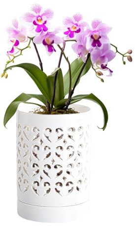Wnvivi Keramik-Orchideentöpfe mit Löchern und Untertassen, 10,2 cm Orchideen-Übertopf Zum Umtopfen, Blumen-Pflanztöpfe für Zimmerpflanzen (B)