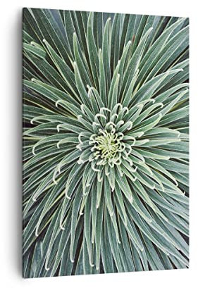 ARTTOR Stampe da Parete Moderne Verticali 70x100 cm Botanica Fiori - 4905