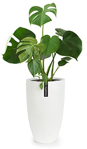Fox&Fern ytterkruka L – extra stor blomkruka inklusive vattendränering – blomkruka hög 50 cm – ytterkrukor för inomhusväxter – stor växtkruka även lämplig för utomhusbruk – planteringskruka –