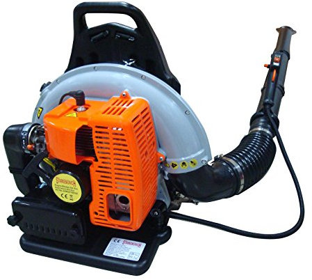 LG SOFFIATORE SPALLEGGIATO A Zaino 63,3 CC Professionale Motors