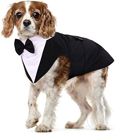 Abito da smoking per cani in cotone, feste di matrimonio, cuccioli, abbigliamento formale, festival, camiciacappotto, abbigliamento con bandana staccabile (nero, M)