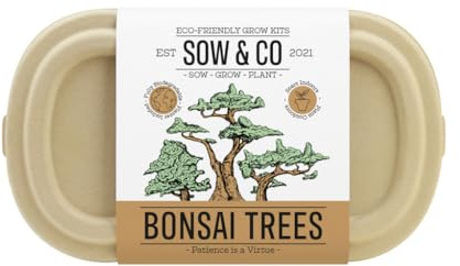 Gift Republic Sow & Co - Bonsai Tree