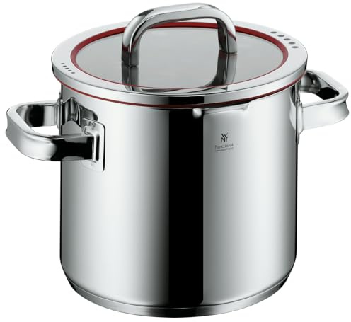 WMF - Stieltopf aus Edelstahl, 20 cm + Deckel, silberfarben, 2,4 kg, Edelstahl