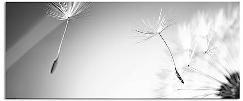 Pixxprint Glasbild Panorama, Wandbild aus Echtglas, Löwenzahn Pusteblume, 100x40 cm, inkl. Aufhängung und Abstandshalter