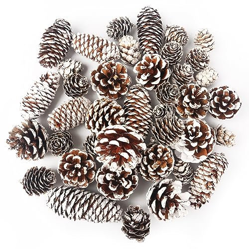 VGOODALL 40PCS Snow Pinecones Decorations, Natural Pine Cones for Crafts Christmas Pine Cone Ornaments for Xmas Tree Wreath Winter Holiday Hanging Ornaments