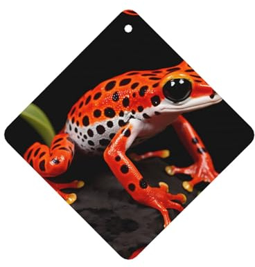 Phayah 4 Pz Deodoranti Auto Appeso Albero Arancione Rana Modello Lavanda Profumo Compresse di Lunga Durata Profumo Profumo Quadrato