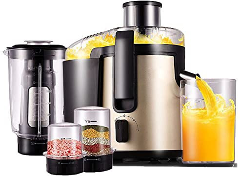 CRBUDY Extracteur de jus à Mastication Lente, Presse à Froid à Large Bouche, Fontaine à jus, rendement élevé en jus pour Fruits, légumes, Aliments pour bébés et Smoothies