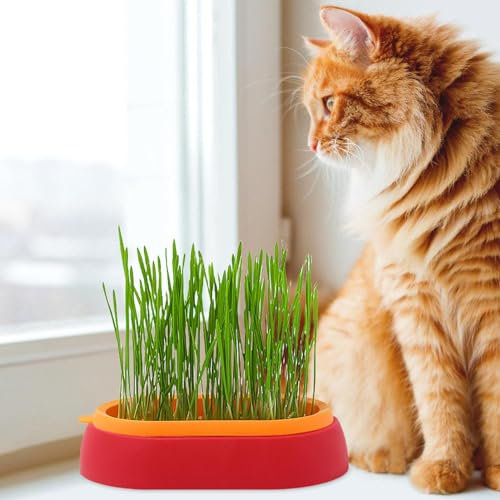 Katzengras-Pflanzgefäß, Hydrokultur-Katzengras-Tasse für Katzen im Innen- und Außenbereich, Hunde und andere Haustiere, verhindert Haarballen und fördert die Verdauung, perfekt für jeden Anlass,