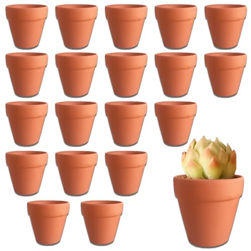 DYOUen Lot de 20 mini pots en terre cuite, 3 x 3,5 cm, en céramique, pour l'intérieur et l'extérieur, cactus, plantes succulentes, maison