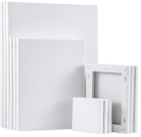 12-Pack Stretched Canvas Set - 18x24,25x30,30x40cm 100% Cotton Primed White Painting Canvases for Acrylic, Oil & Watercolor - Ready-to-Use Artist Canvas Boards for Beginners & Professionals (12)