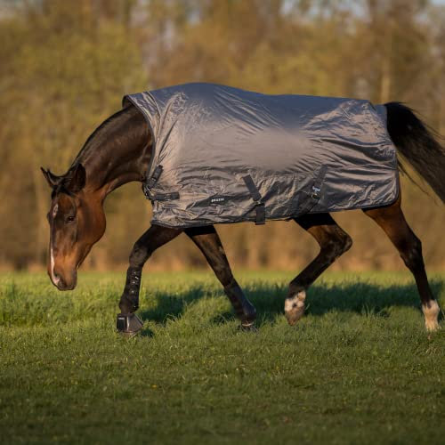 Outdoordecke RAIN-DEAR 100