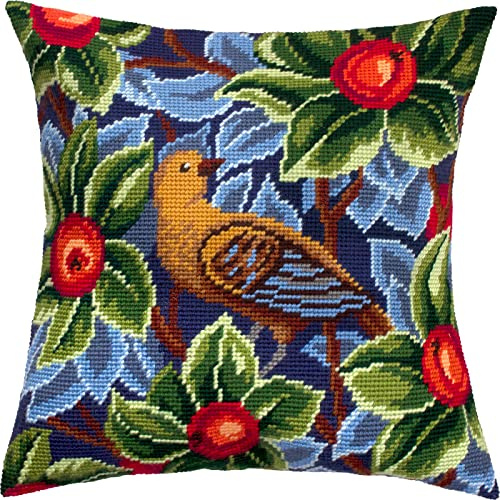 Brvsk Vogel. Stickset mit bedruckter Gobelin (40 × 40 cm) Stickkissen Set für kreative Inneneinrichtung Handarbeitsset für erwachsene Anfänger