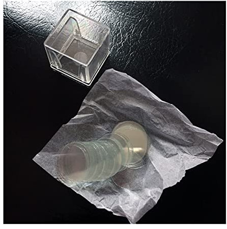 Mikroskop Objektträger aus Glas, 100 Stück, Objektträger aus Glas, 14 mm, runde, leere Objektträger
