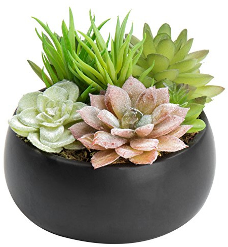 MyGift Mini Artificial Succulent in Pot, Fake Plant Arrangement in Black Ceramic Planter Bowl