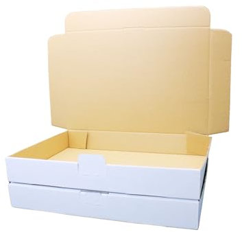 100 Maxibriefkartons Versandkartons Faltschachtel Faltkarton Maxibriefversand (Weiß, MB4-260x180x50 mm (Innen 250x175x47 mm))