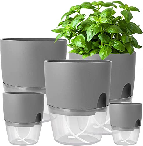 iDattel Blumentopf Mit Bewässerungssystem,Kräutertopf Küche Set Fensterbank selbstbewässernd-5er Set Kräutergarten für die Küche,15.3/10.5/8.2cm, für frische Küchenkräuter, Grau