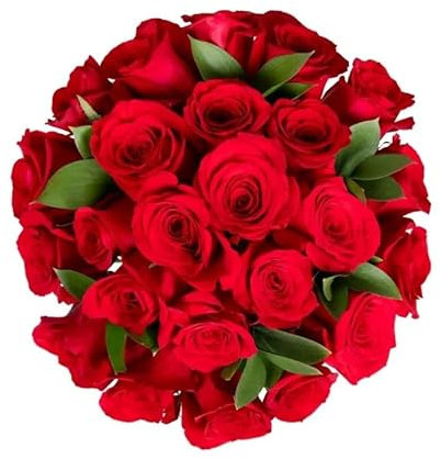 Ramo de ROSAS ROJAS Naturales con 25 Flores en Tonos Vibrantes Rosas Rojas Frescas para Ocasiones Especiales