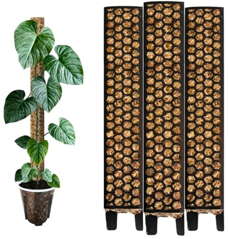 Nils der Pflanzenfreund® Moosstab 53 cm (XL) 3 Stück, Schwarz – Moss Pole, erweiterbare Rankhilfe für Monstera & Kletterpflanzen, Pflanzenstab für Indoor Pflanzen