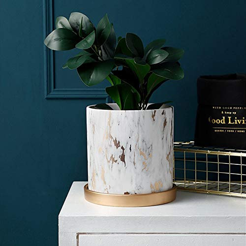 Kaktus-Blumentopf, Keramik, rund, schlichtes Design, Sukkulenten-Blumentopf, drinnen, draußen, Kräuter- oder Aloe-Blumentöpfe, dekorative Anzeige für Zuhause, Büro, Tisch, Geburtstagsgeschenk (Size