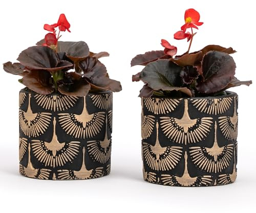Vimin Box Paire de pots en terre cuite, décorés à la main, noir et or, pour plantes et fleurs, décoration maison, diamètre 11 cm - 11 cm (noir/or, 2 x S)