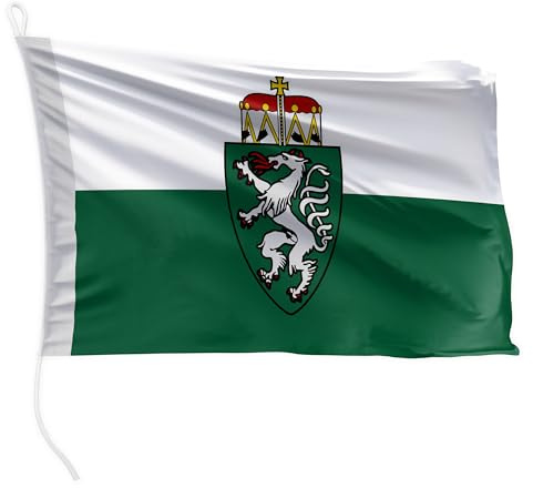 FLAGLY Drapeau de bateau de qualité supérieure de Steiermark - 20 x 30 cm - Poids du tissu 115 g/m² - Imprimé, robuste avec tricot et boucle, accessoire de bateau à moteur (20 x 30 cm - Styrie)