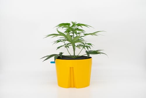 Eco Farmers Hydro Farmer, Topf Ø 18 cm (gelb), Anzuchtsystem inklusive 1x Topf, 1x Bewässerungsring, 1x Deckel, Hydrokultur, Aeroponik