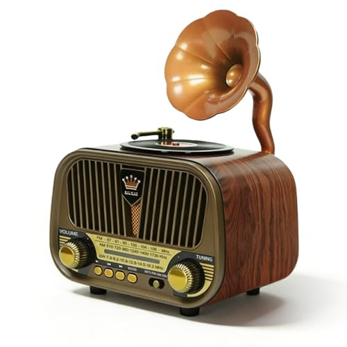 Radio retro con Bluetooth, radio nostálgica, pequeña, Bluetooth, retro, para senderismo, camping, regalos, oficina, hogar