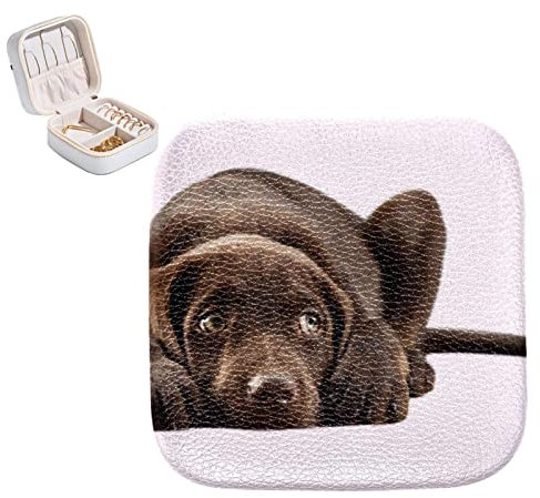 RODAILYCAY Reise-Schmuckschatulle mit doppeltem Reißverschluss, Hund-Schmuck-Organizer, kleines Schmucketui, Ohrring-Ringhalter für Frauen und Mädchen