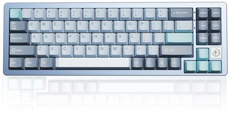 YUNZII AL71 68% mechanische Tastatur, All-Aluminium CNC, Hot-Swap-Ring, 2.4GHz Wireless BT5.0/USB-C Kabel-Gaming-Tastatur, NKRO RGB, für Win/Mac(Blue,Crystal White Switch)