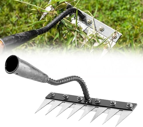 Abnehmbare Garden Pro Thatch Rake, 5/6/7/8 Stahlzähne Gartengerät, Heavy-Duty Lawn Debris Remover Ergonomic Non-Slip Handle, Ideal für Enge Räume und große Rasenflächen (8-Zahn)