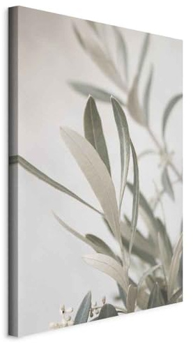 murando - Wandbilder XXL Olivenbaum 80x120 cm Vlies Leinwandbild 1 tlg Kunstdruck modern Wandbilder XXL Wanddekoration Design Wandbild Zweige Blätter Natur Botanik Pflanze b-B-10107-b-a