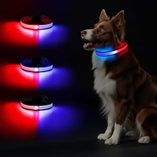 Leuchtend Halsband, LED Hundehalsband, Leuchthalsband Hund Aufladbar, Leuchtband Einstellbar Wasserdicht mit 2 Lichtmodi Hunde Leuchthalsband für Kleine Mittlere Große Hunde Nachtspaziergänge
