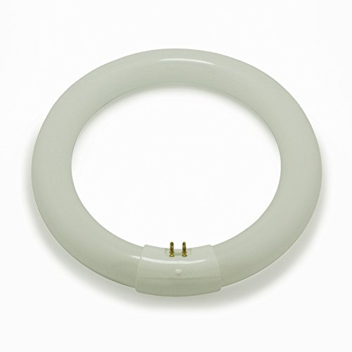 Crompton 40w T9 G10q Circular Fluorescent Triphosphor Colour 840 Cool White 4000k CIR40SPCW | g10q base, 4000k cool white light, triphosphor technology, bright efficient lighting for home and office use