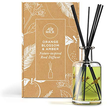 Air Wick Lufterfrischer Schilfrohrdiffusor, Orangenblüte und Bernstein