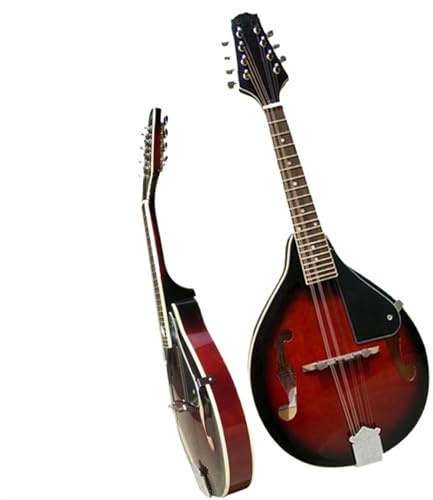 Mandolinen-Instrumentensatz Mandoline Mit Hoher Tonhöhe Und Acht Saiten