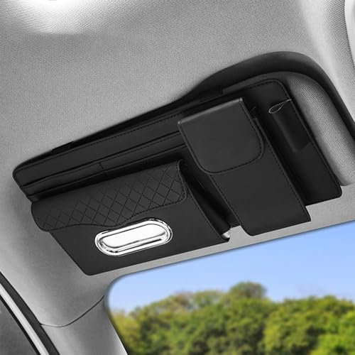 Flaconi Organizador de Visera Solar para Coche con Cremallera - Accesorios Interior para Tarjetas, Carné de Conducir, Bolígrafos, Documentos (Negro)