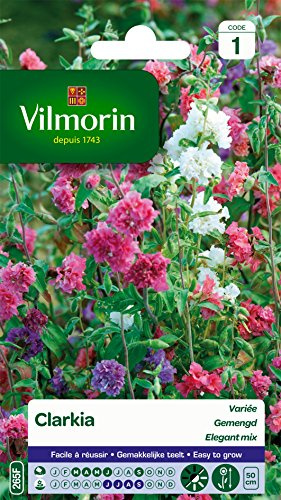 Vilmorin 5228541 Clarkia élégant double varie Multicolore, 90 x 2 x 160 cm