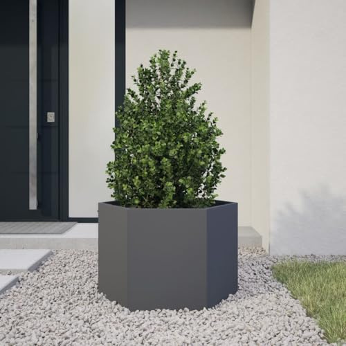Makastle Jardinière Exterieur, Lit de Jardin Surélevé en métal, Bac de Plantation, Potager de Jardin, bac à Fleurs avec Fond Ouvert, Anthracite hexagone 69x60x45 cm Acier