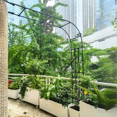 Arche de jardin en métal – Treillis élégant pour plantes grimpantes de 3 m de large, idéal pour jardin, pelouse, terrasse et cour (noir l x H : 3 x 2,4 m)