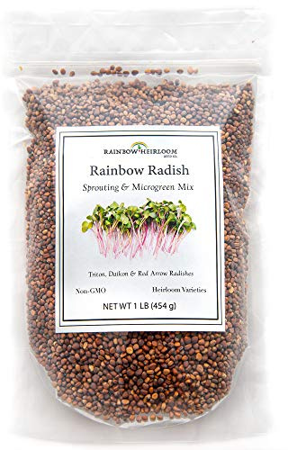 Rainbow Radish Sprouting Seed Mix | Heirloom Non-GMO Seeds for Sprouting & Microgreens | Contains Red Arrow, Purple Triton & White Daikon Radish Seeds 1 LB Resealable Bag | Rainbow Heirloom Seed Co.