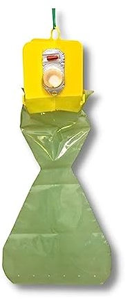 Pherocon Popillia Trappola per Popillia japonica cromotropica con feromone