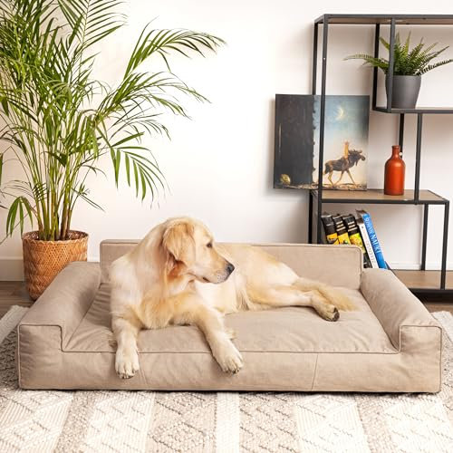 PillowPrim Hundebett, Haustiermatratze, Katzenbett, Hundekissen, Hundekorb, Hundesofa, Liegeplatz für Hund, Orthopädische, Asche, 55 cm, 78x53 cm, Beige