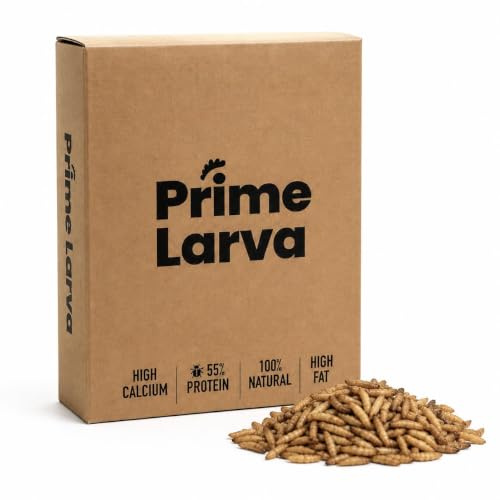 Larvas de Black Soldier Fly Deshidratadas para Gallinas – 1kg – Alto en Calcio y Proteína – Snack Natural y Sostenible – Mejora Plumas y Salud General