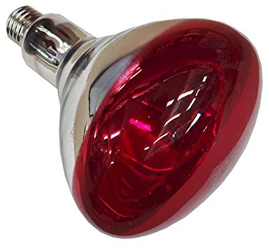 PHILIPS Lampada IR 250W 230 250V E27 IR 250 RH