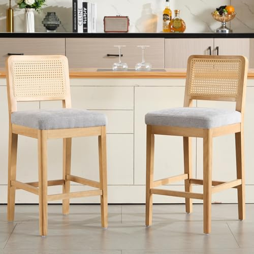 chairus Set med 2 barstolar chenille barstol med rotting, ryggstöd, retro, trä, diskpall för matsal, kök (grå-2)