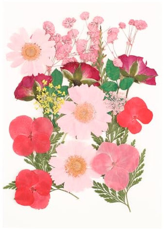 Dried Pressed Flowers Natural Dried Flowers for Crafts for DIY Dried Flowers for Resin Art Crafts Candle Making Nails Décor Soap Making Phone Case
