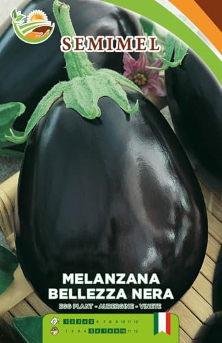 Melanzana Bellezza Nera - Semi di Melanzana Viola Scura, Ciclo Medio-Precoce, Pianta Vigorosa, Adatta a Pieno Campo 2 confezioni