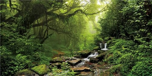 MIRRORANG 120x50cm Tropischer Regenwald Terrarium Hintergrund Wasserfall Aquarium Hintergrund See Wasser Nebel Grüner Baum Reptilien Lebensraum Hintergrund Haltbarer Vinyl Hintergrund