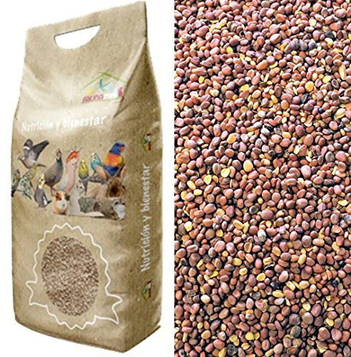 Faunamix Semilla de Rábano para Aves (5 kg)